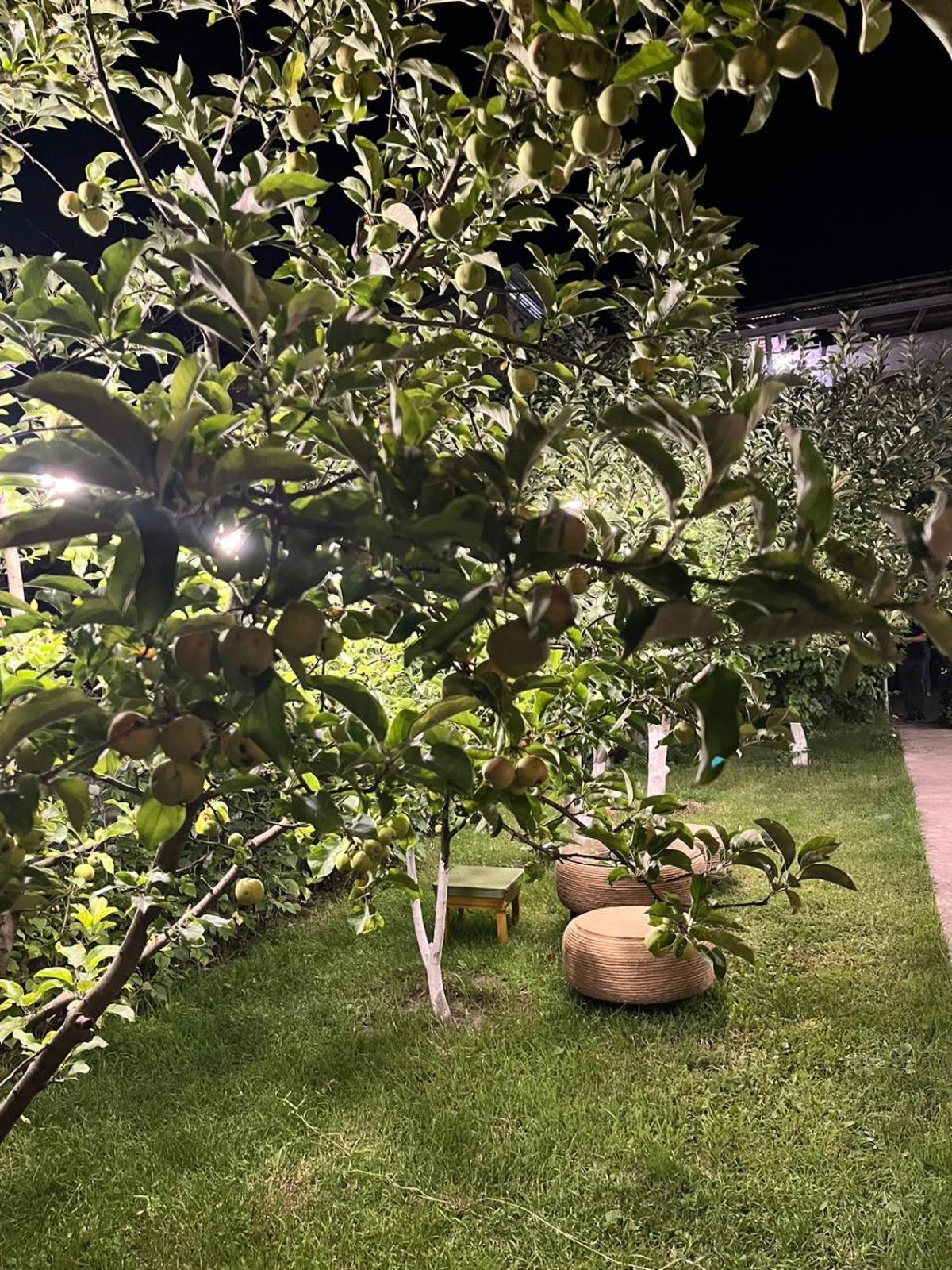 Andranik B&B غوريس المظهر الخارجي الصورة